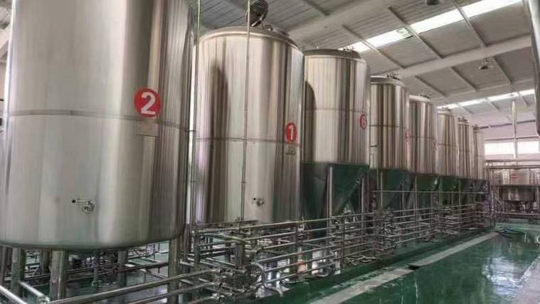 陆河日产10吨精酿啤酒设备多少钱？2026年全套报价帮你算明白